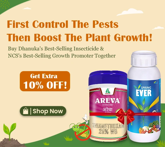 Areva + Spring Ever Combo – Extra 10% Off 
