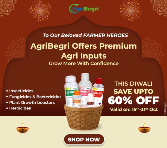 ATPL Diwali Offer 2025 – Save Up to 60%