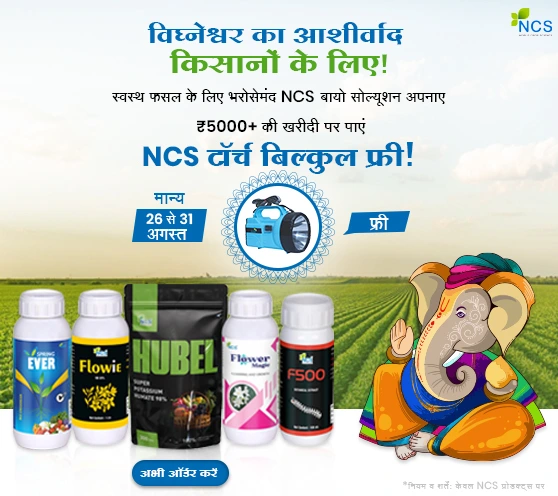 NCS Rs.5000+, free torch- Ganesh chaturthi 2025