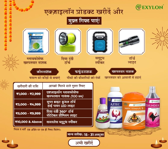 Exylon Diwali Offer, 2025- Free Gift Offer