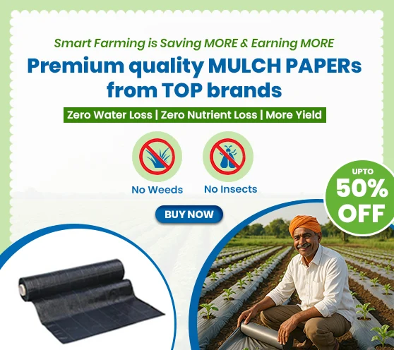 Mulching paper- Upto 50% off (Nov. 2025)