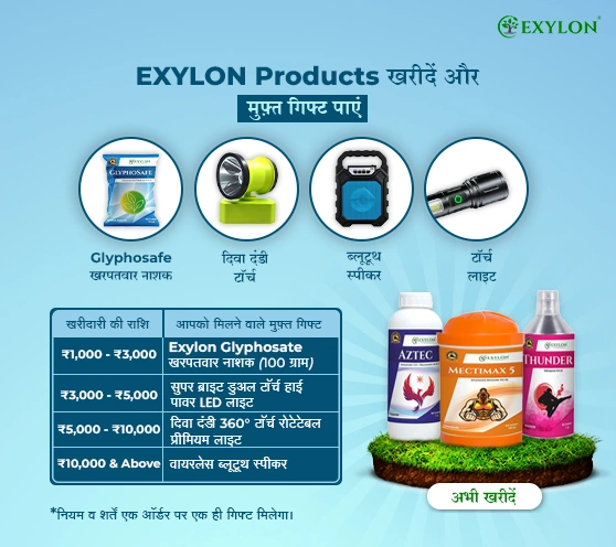 Exylon Free Gift Offer 2025 