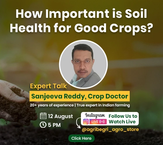 Webinar 2025