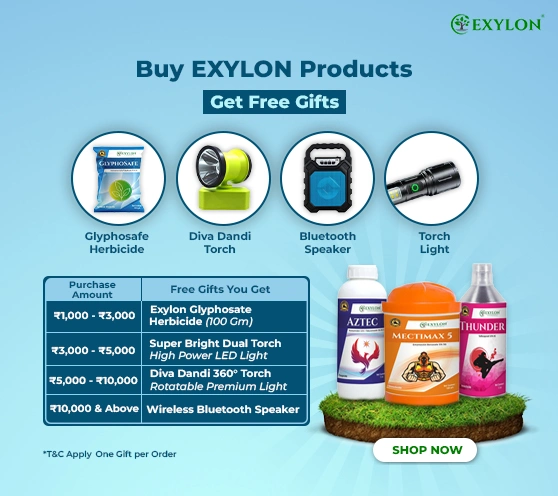 Exylon Free Gift Offer 2025 