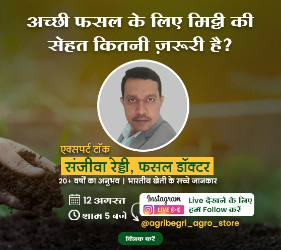 Webinar 2025
