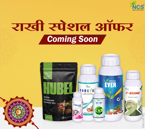 Coming Soon Rakhi