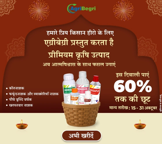 ATPL Diwali Offer 2025 – Save Up to 60%