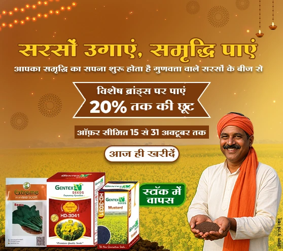 Diwali Offer, 2025- Mustard seeds, Upto 20% off 