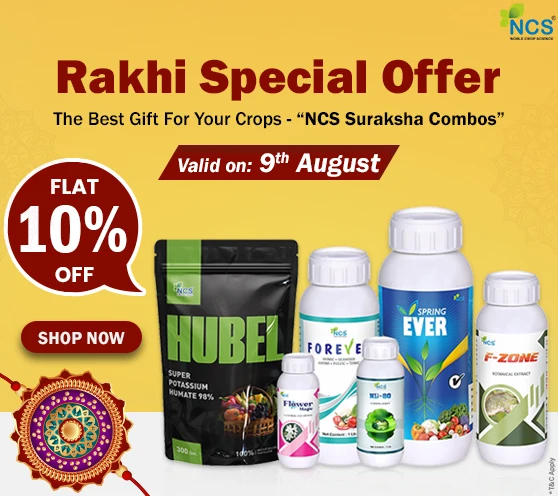 Rakshabandhan 2025