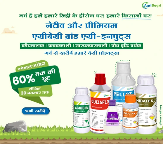 ATPL-  Upto 60% off (November, 2025)