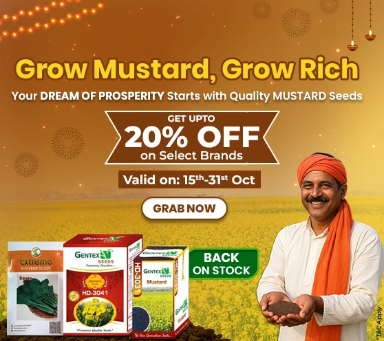 Diwali Offer, 2025- Mustard seeds, Upto 20% off 