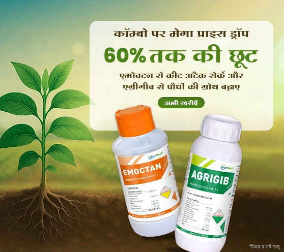 Mega Price Drop: Emoctan + Agrigib Combo – Up to 60% Off