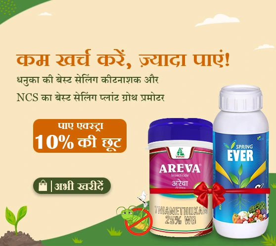 Areva + Spring Ever Combo – Extra 10% Off 