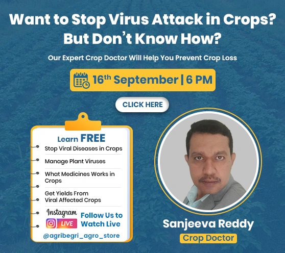 Live Session with Sanjeeva Sir- Stop Virus Attack in Crops