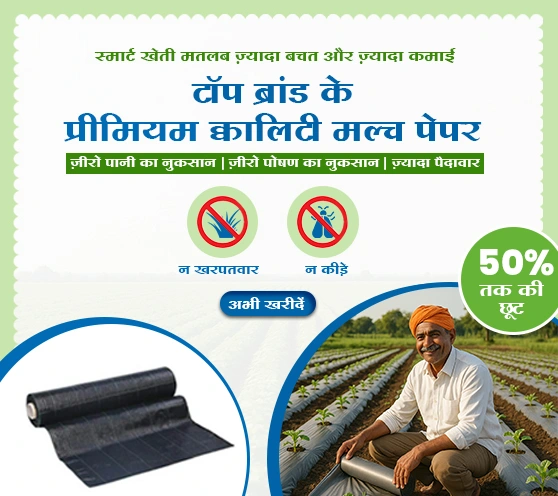 Mulching paper- Upto 50% off (Nov. 2025)