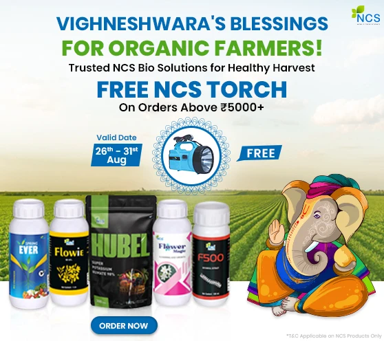 NCS Rs.5000+, free torch- Ganesh chaturthi 2025