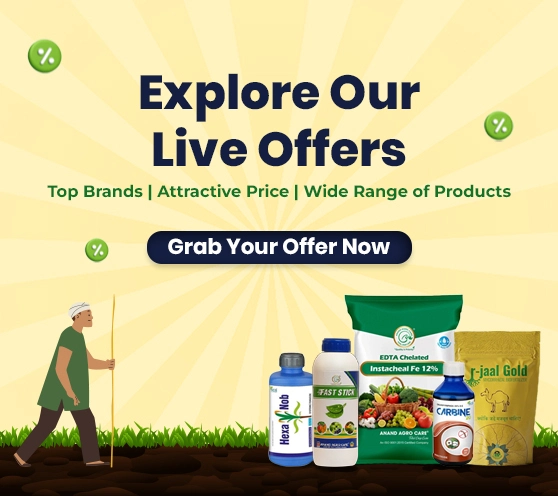 Explore Our Current Offers Bundles