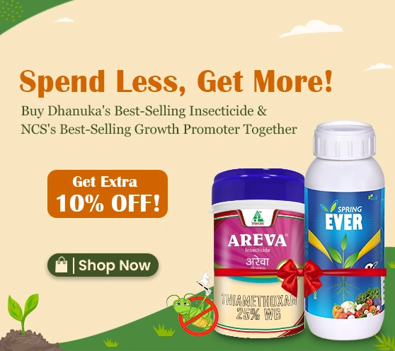 Areva + Spring Ever Combo – Extra 10% Off 