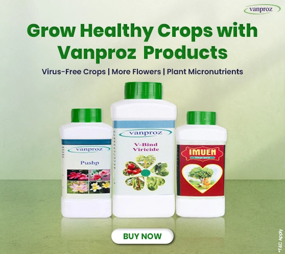 Vanproz Campaign: Sep. 2025