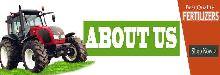 About Us Banner