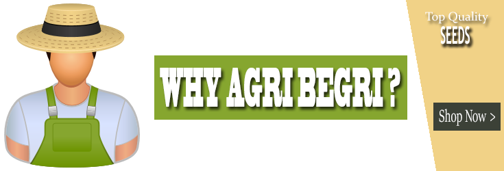 Why AgriBegri Banner