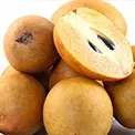 Sapota (Chikoo)