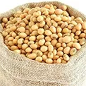 Soyabean