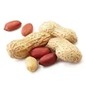 Groundnut