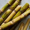 Sugarcane