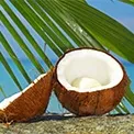 Coconut