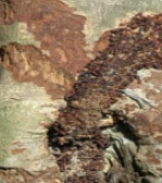 Bark borer
