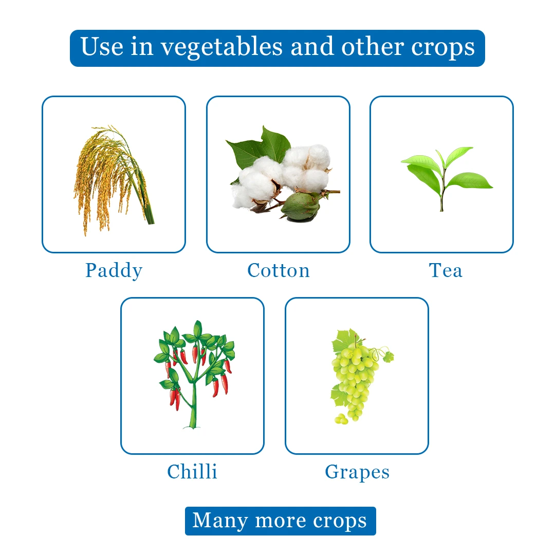 EBS Cyhalomaster Lambda Cyhalothrin 4.9% CS, Synthetic Pyrethroid Insecticide, Controls Wide Range Of Pests In Many Crops. - Image 4