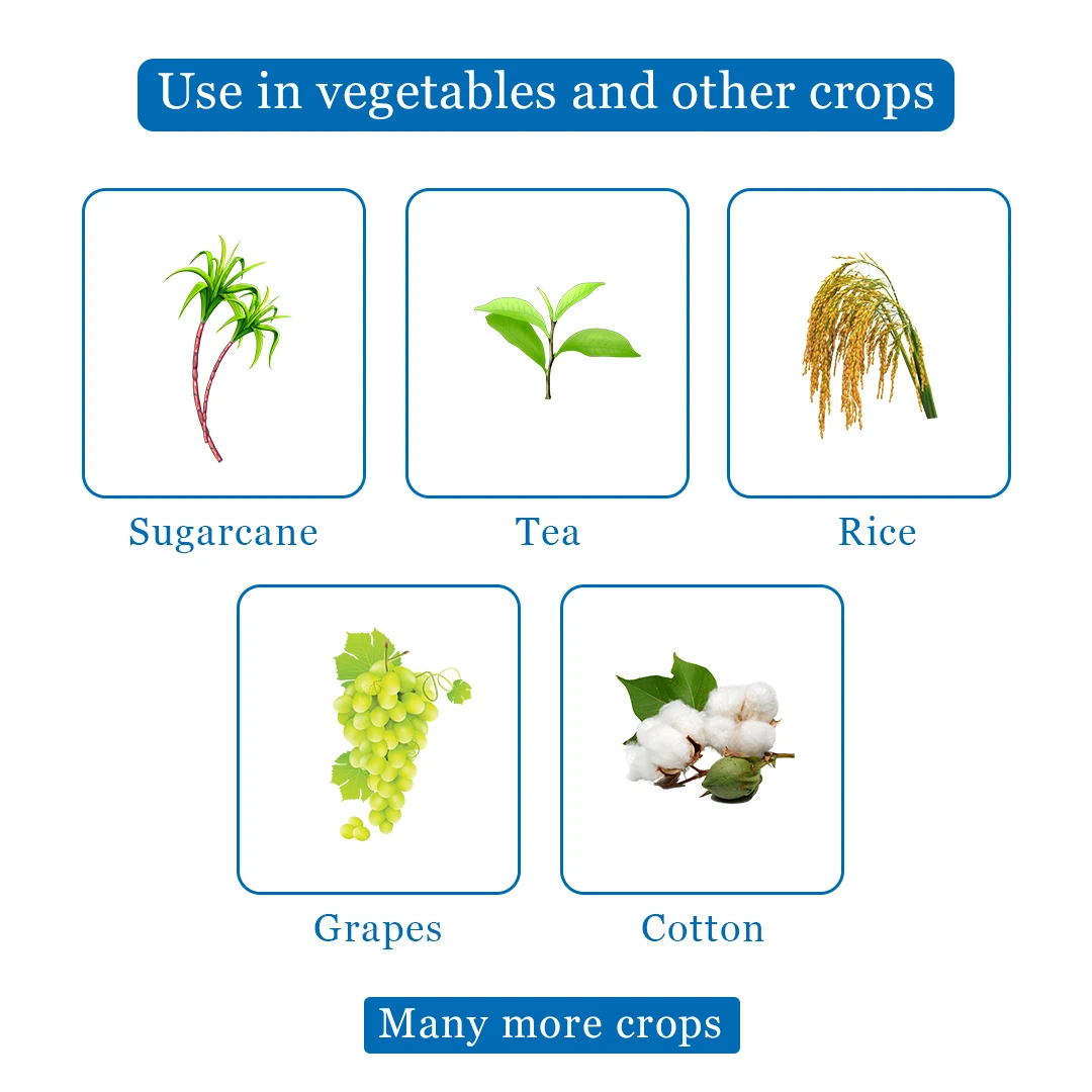 Best Agrolife Ghotu Clothianidin 50% WG Insecticide, Broad Spectrum Insecticide, Use For Grapes, Cotton, Sugarcane, Tea and Rice - Image 4