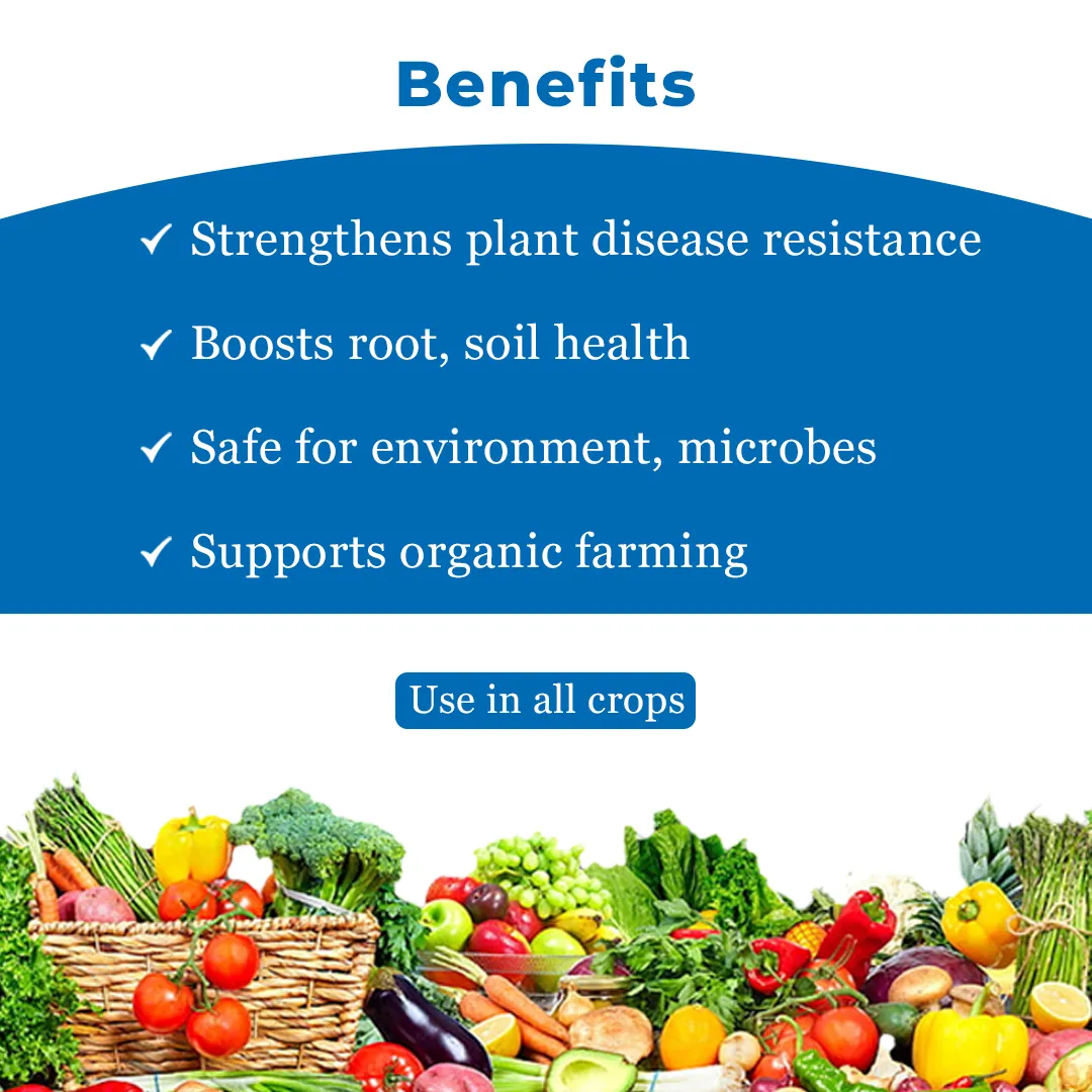बीएसीएफ ट्राइडेंट ट्राइकोडर्मा विराइड 1.5% डब्ल्यूपी, कार्बनिक जैविक फफूंदनाशक, सभी प्रकार के खेतों और बागवानी फसलों के लिए. - Image 4