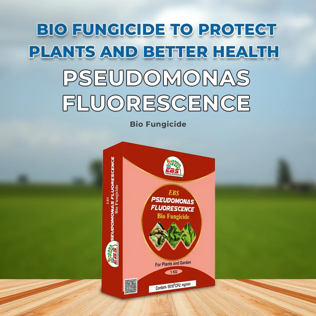 EBS Pseudomonas Fluorescence Bio Fungicide, Controlling Diseases Like Root Rot, Stem Rot, Collar Rot On All Crops. - Image 2