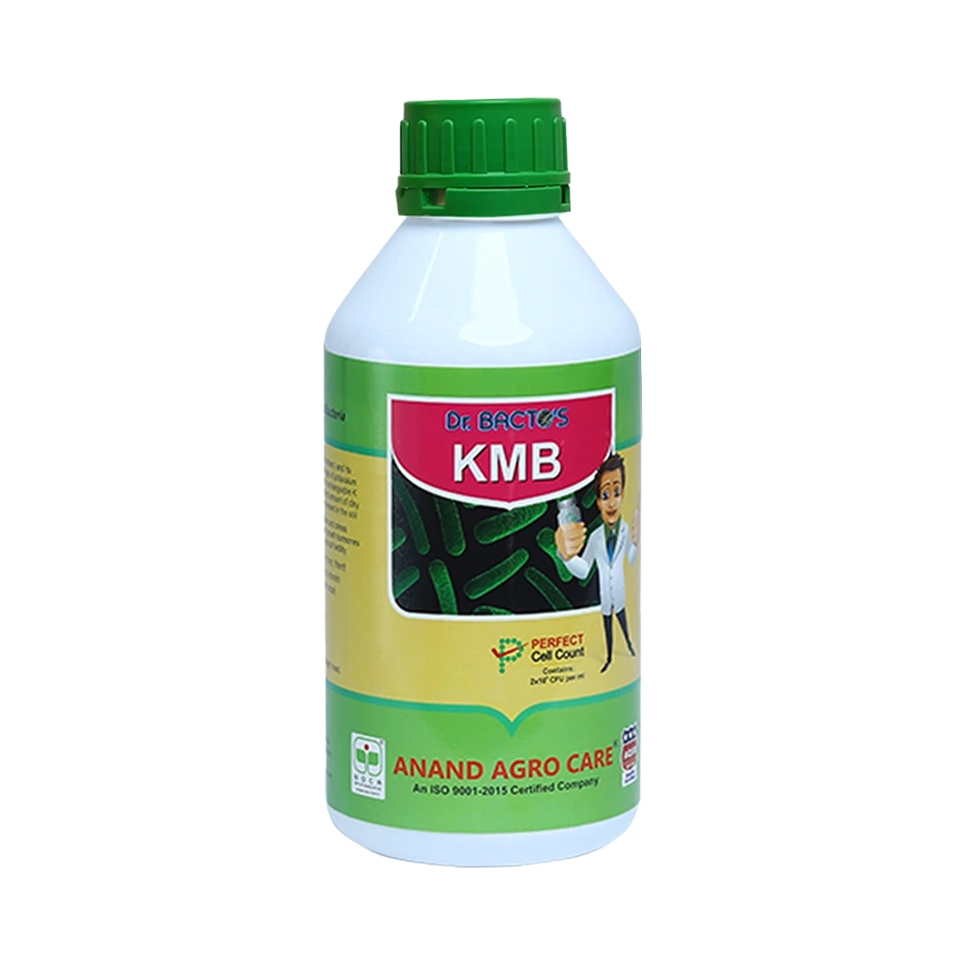 Dr. Bacto\'s KMB, Potash Mobilizing Bacteria, Improves resistance of crop against disease