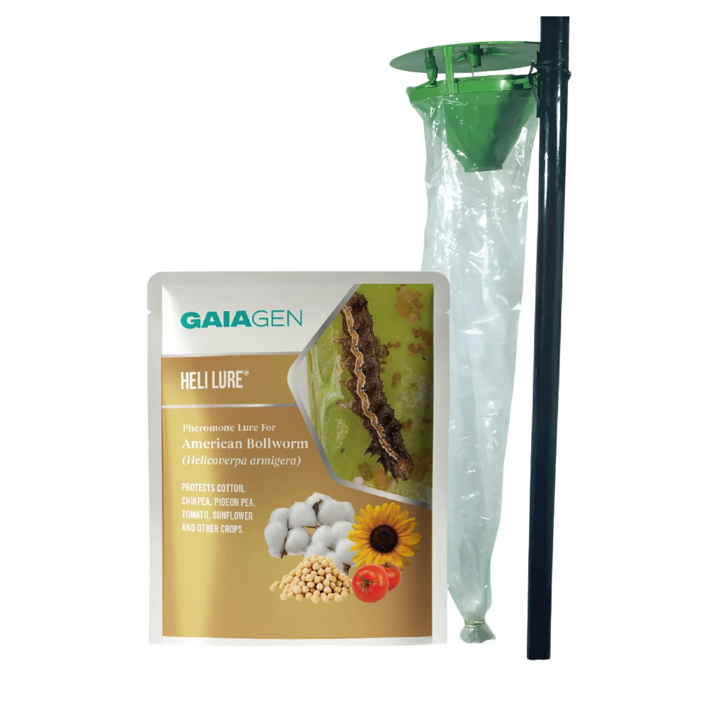 Gaiagen Pheromone Lure For American Bollworm (Helicoverpa Armigera) And Insect Funnel Traps, IMO Certified
