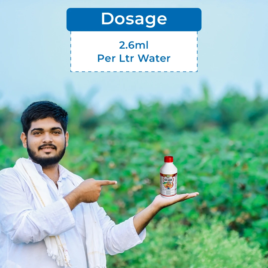 Bacf Sanda Lambda Cyhalothrin 5% EC Insecticide, Contact And Systematic Action - Image 5