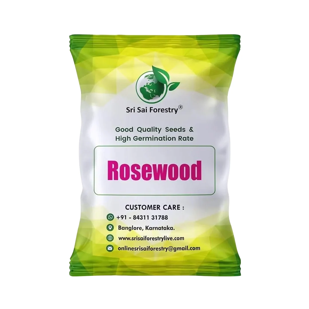 SRI SAI FORESTRY - Shisham Tree Seeds (North Indian Rosewood ) , Hard Tiber Seeds