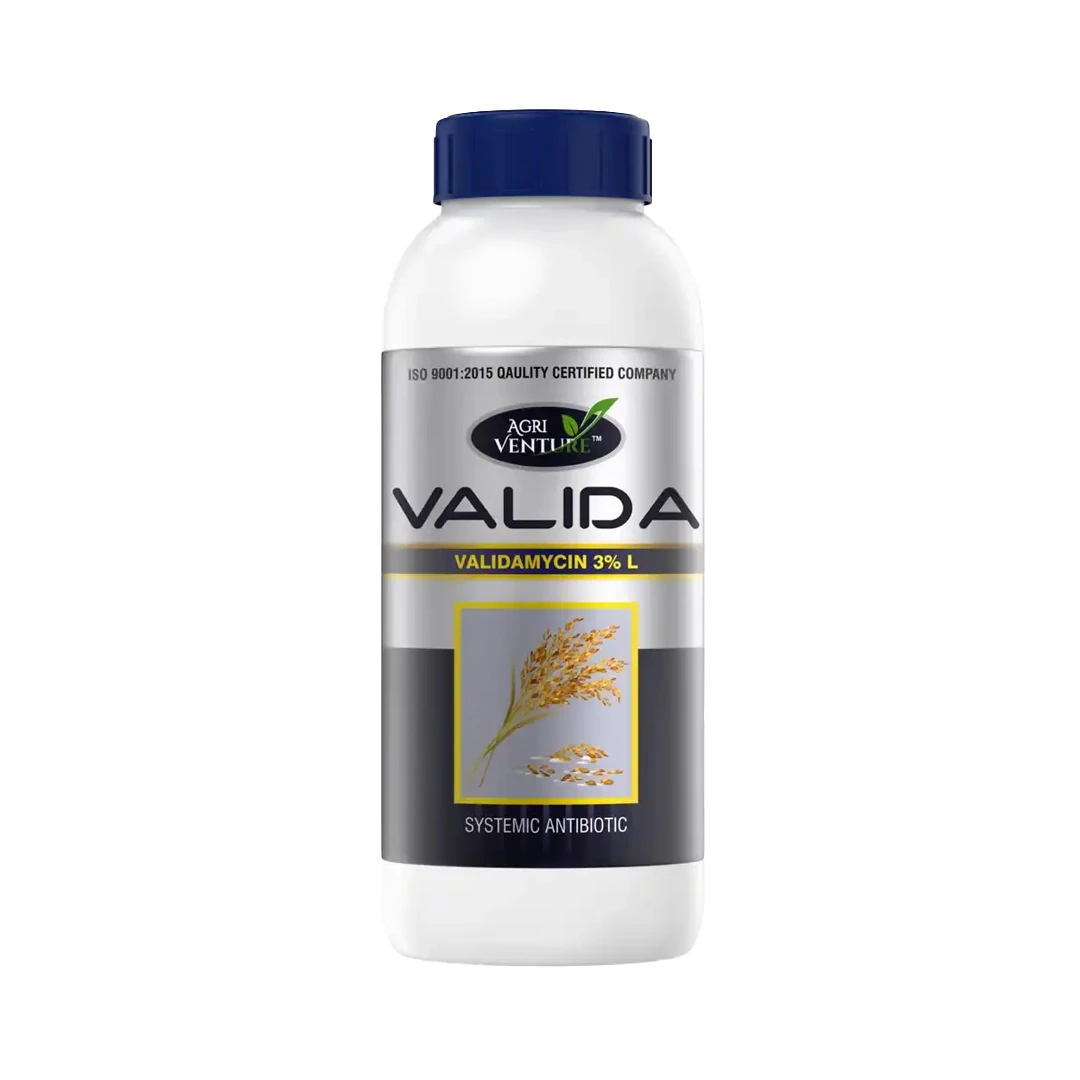 Agriventure Valida (Validamycin 3% Sl) Fungicide, Control The Sheath Blight Disease Of Rice Very Effectively