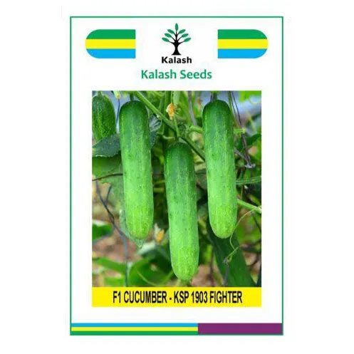 Kalash KSP 1903 FIGHTER F1 Hybrid Cucumber Seeds, High Yielding Variety with Uniform Dark Green Fruits