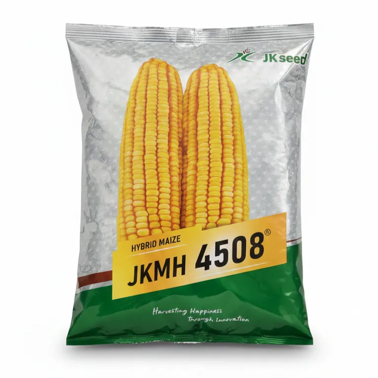 JKMH 4508 F1 Hybrid Maize Seeds, High Yield, Bold Shiny Grains And Stay-Green Fodder