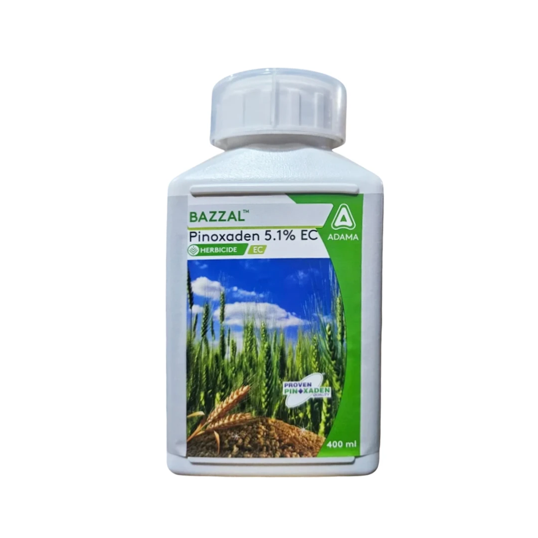 Adama Bazzal Pinoxaden 5.1% EC, Control Of Important Grass Weeds Like Phalaris Minor And Avena Ludoviciana In Wheat