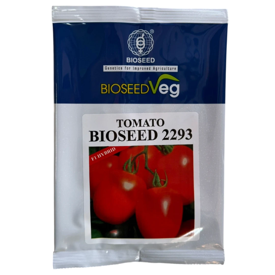 BIOSEED 2293 F1 Hybrid Tomato Seeds, Suitable For All Seasons