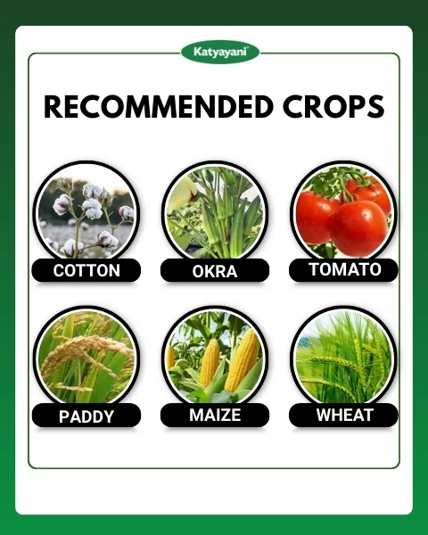 Katyayani Thioxam Super Plus Thiamethoxam 70% WS Insecticide, Powerful Pest Control For Crops - Image 4