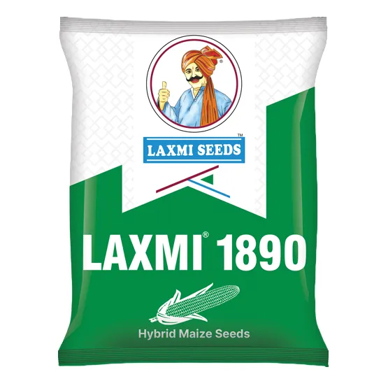 LAXMI 1890 F1 Hybrid Maize Seeds, High Yield, Bold Orange Semi Flint Grains