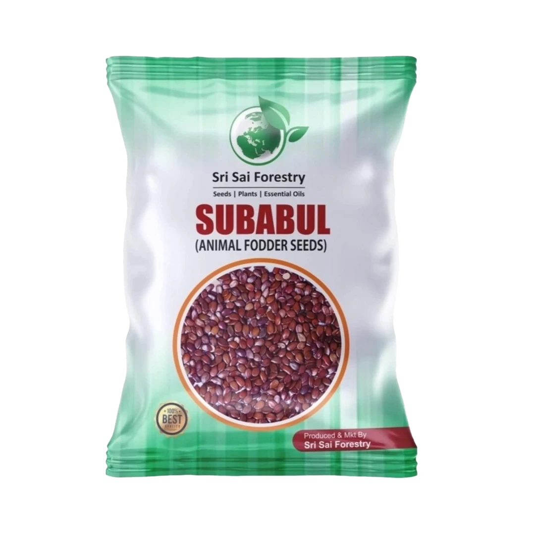 Sri Sai Forestry Subabul Seeds (Leucaena Leucocephala), Safed Babool, Ideal For Fodder Green Manure Plantation And Live Fencing