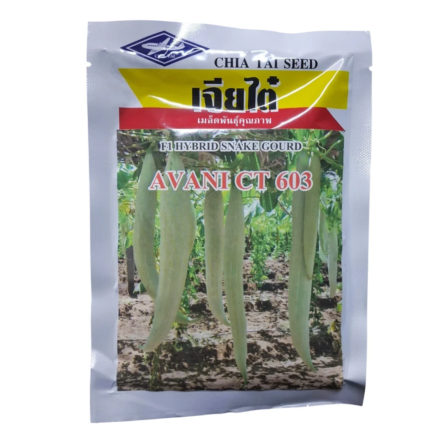 CHIA TAI AVANI CT 603 Snake Gourd Seeds, Early Maturing, White Cylindrical Fruits