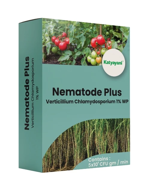 Katyayani Nemotode Plus Verticillium Chlamydosporium 1% WP, Biological Control Agent For Effective Nematode Management