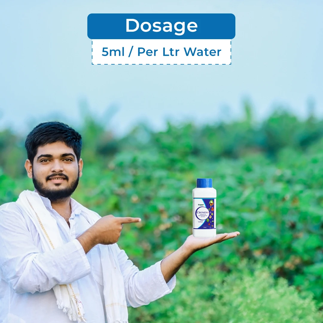 Cromin+ Ammonium Polyphosphate NPK 10:34:00 , Excellent Liquid Phosphatic Fertilizer - Image 5